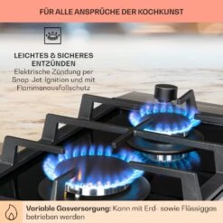 Alchemist Domino Gaskochfeld 2-flammig Aluminium-Brenner Glaskeramik -kitchentools Verkäufe 10034968 de 0005 usp