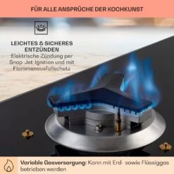 Trifecta 3 Gaskochfeld 3-flammig Gusseisen Glaskeramik 15 Trifecta 3 Gaskochfeld 3-flammig Gusseisen Glaskeramik -kitchentools Verkäufe 10039421 de 0005 usp