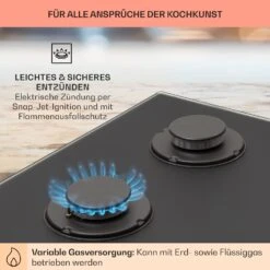 Firetale Gaskochfeld 4-flammig 60 Cm Aluminium-Brenner Inkl. Schlauch Und Druckminderer -kitchentools Verkäufe 10041299 de 0005 usp