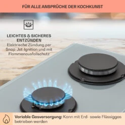 Firetale Gaskochfeld 2-flammig Aluminium-Brenner Erdgas/Propangas Inkl. Schlauch Und Druckminderer -kitchentools Verkäufe 10041301 de 0005 usp